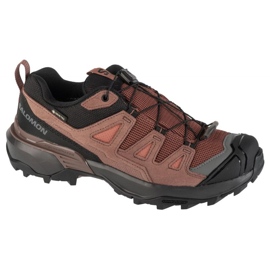 Chaussures Salomon X Ultra 360 Ltr Gtx 475715 brun