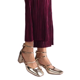 Les pompes dorées ont été vernies sur un poteau avec des boucles