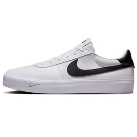 Nike Court a tiré FQ8146-104 blanc et noir
