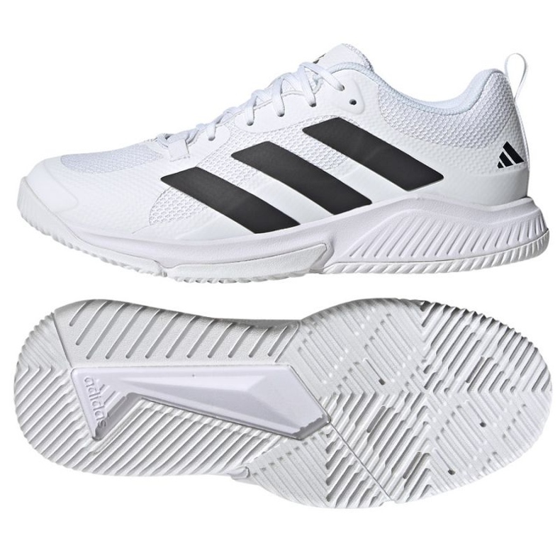 Adidas Court Team 2.0 HR1239 Volleyball Chaussures blanche