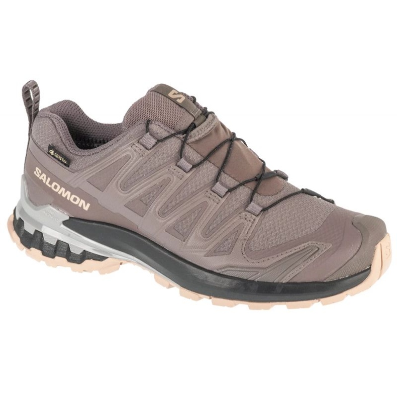 Salomon XA Pro 3D V9 GTX L47744500 Gray gris