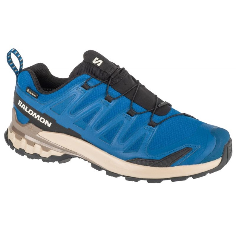 Salomon XA Pro 3D V9 GTX L47817200 Blue Shoes bleu