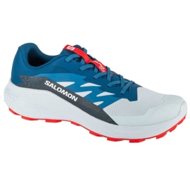 Salomon Alphaglide Ballad L47724300 Chaussures de course gris