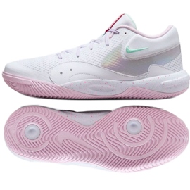 Nike Hyperquick SE HF3240-100 Chaussures de volleyball blanche