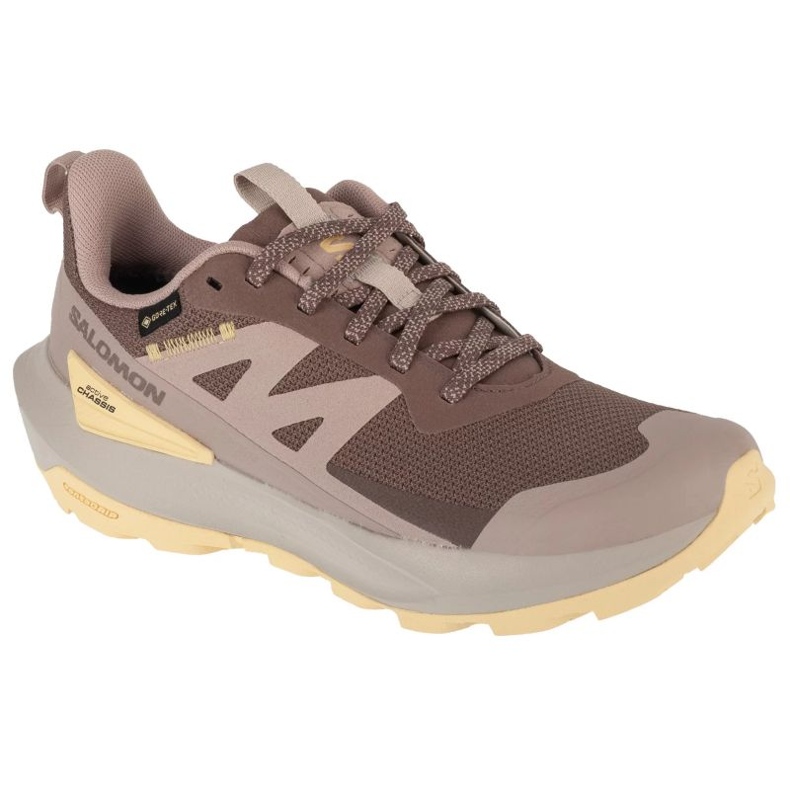 Salomon Elixir Active GTX L47760100 Chaussures de course brun