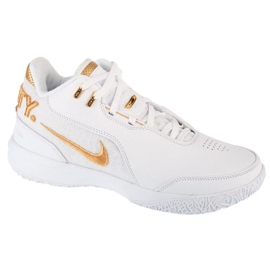 Nike LeBron Nxxt Gen AMPD FJ1566-103 Black-Biała Shoes multicolore