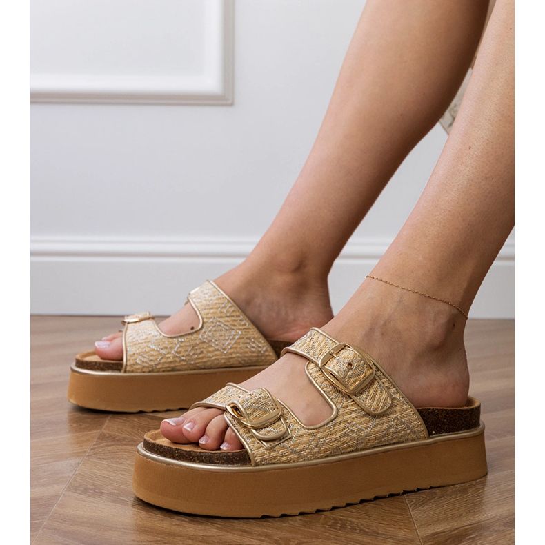 Volets beige-silver avec des pinces sur les rayures argent Volets beige-silver avec des pinces sur les rayures argent