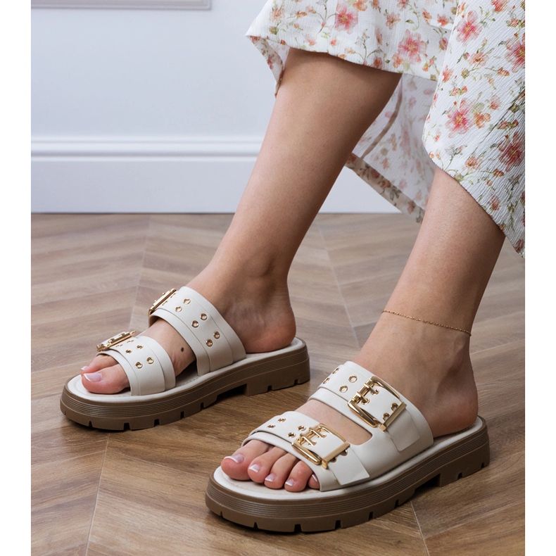 Volets plats beige avec des pinces sur les rayures Volets plats beige avec des pinces sur les rayures