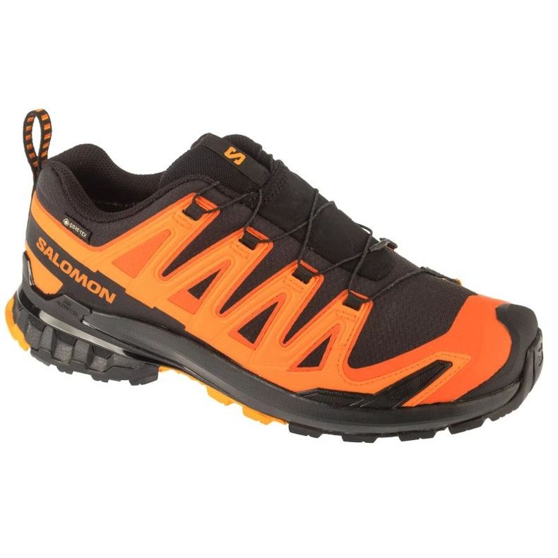 Salomon XA Pro 3D V9 GTX M L47961000 Chaussures de course multicolore