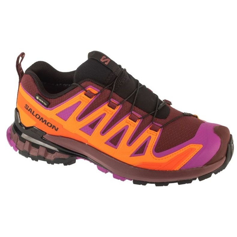 Salomon XA Pro 3D V9 GTX Chaussures de course en L47961900 multicolore