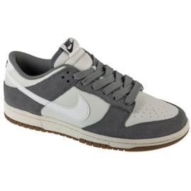 Chaussures Nike Dunk Low Retro SE M IB6399-001