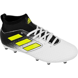Chaussures de foot Adidas Ace 17.3 Fg S77067
