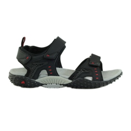 American Club Sandales avec empiècement en cuir américain 1715 noir