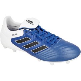 Adidas Copa 17.3 Fg M BA9717 chaussures de football bleu bleu