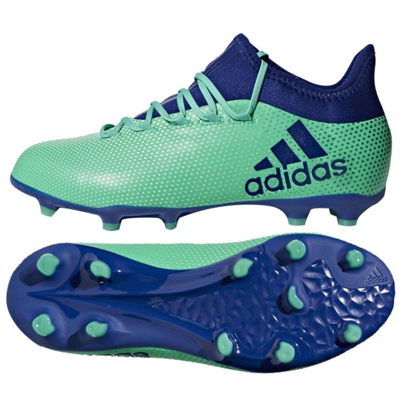 Chaussures de foot Adidas X 17.1 Fg Jr CP8980 multicolore bleu