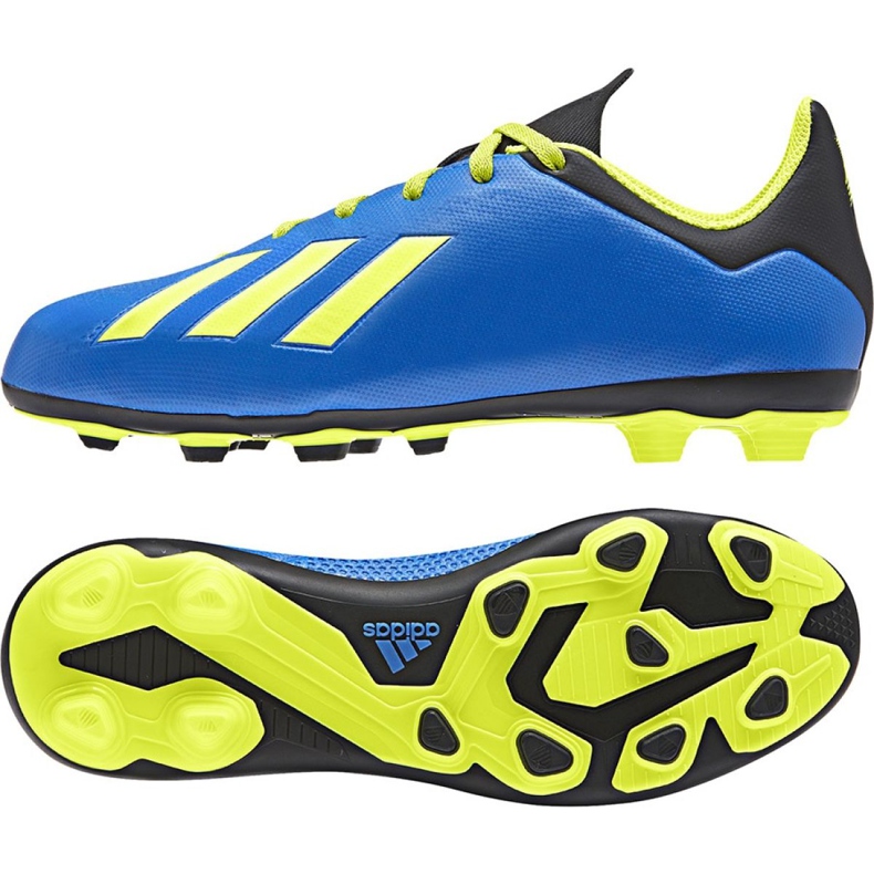 Chaussures de foot Adidas X 18.4 FxG Jr DB2419 multicolore bleu