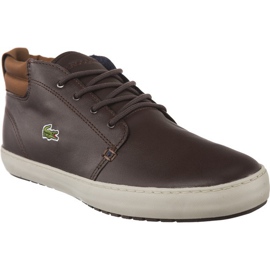 Lacoste Ampthill Terra 317 1 176 brun