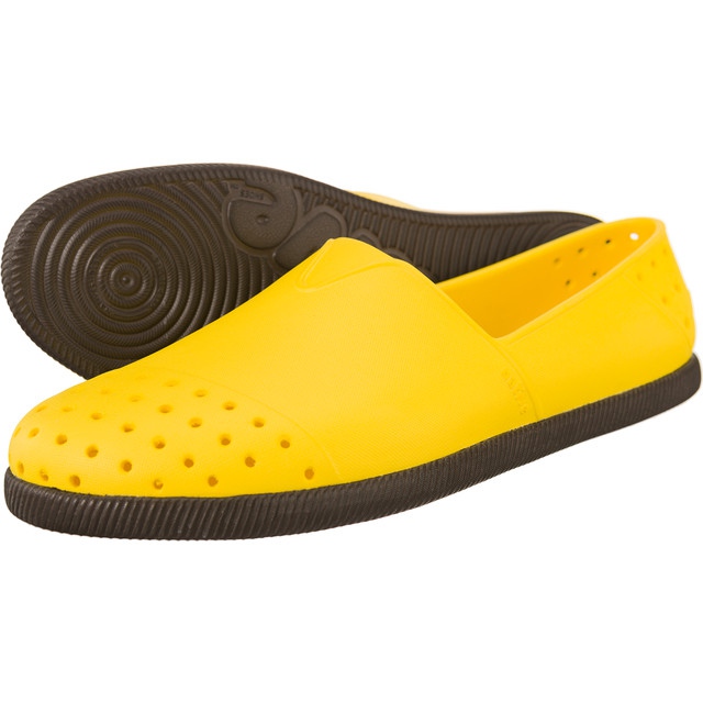 Native Castor jaune de Crayon autochtone de Vérone