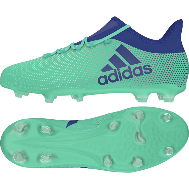 Chaussures de foot Adidas X 17.2 Fg M CP9189 multicolore vert
