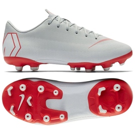 Chaussures de football Nike Mercurial Vapor 12 Academy Gs Mg Jr AH7347-060 multicolore argent Chaussures de football Nike Mercurial Vapor 12 Academy Gs Mg Jr AH7347-060 multicolore argent