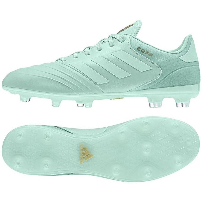 Les chaussures de football adidas Copa 18.2 Fg M. bleu Les chaussures de football adidas Copa 18.2 Fg M. bleu