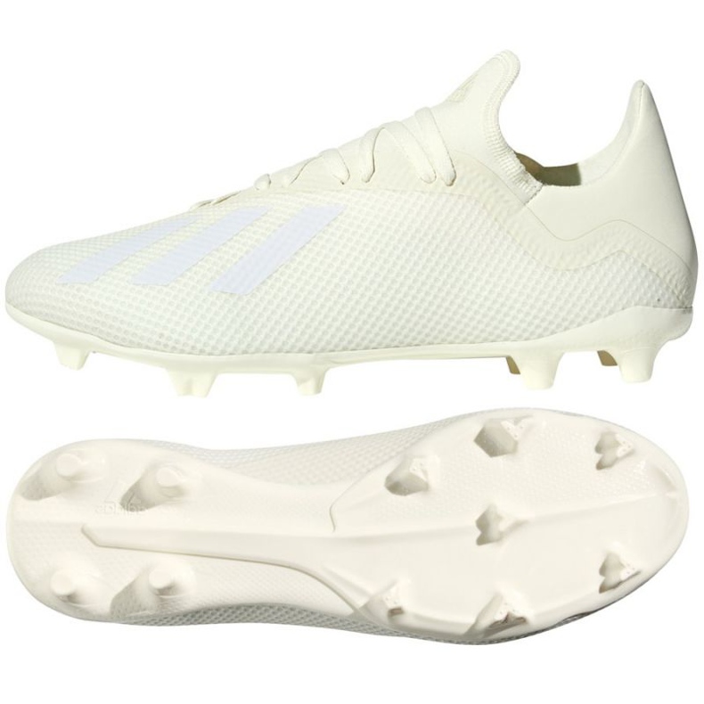 Chaussures de foot Adidas X 18.3 Fg M DB2184