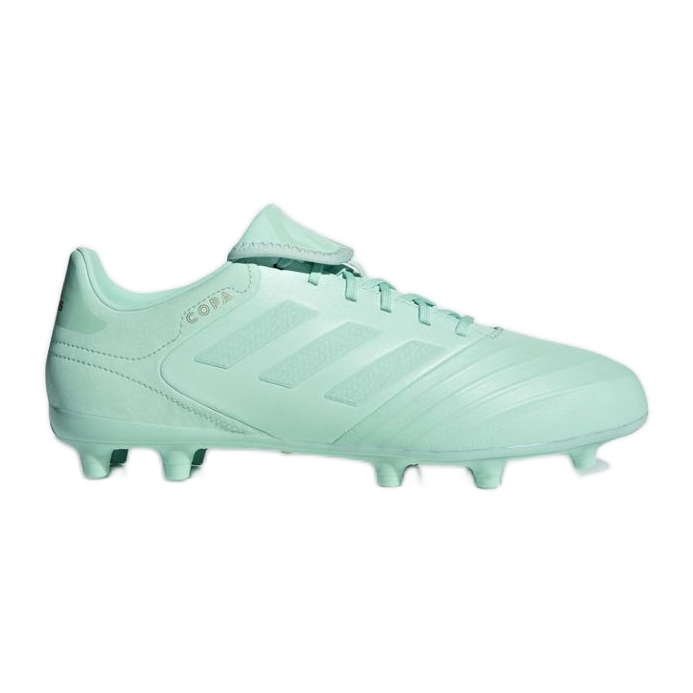 Les chaussures de football adidas Copa 18.3 Fg M vert Les chaussures de football adidas Copa 18.3 Fg M vert