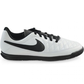 Chaussures d'intérieur Nike Majestry Ic M AQ7898-107 blanc blanc