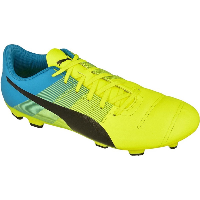 Chaussures de foot Puma evoPOWER 4.3 Fg M 10353601 jaune jaune