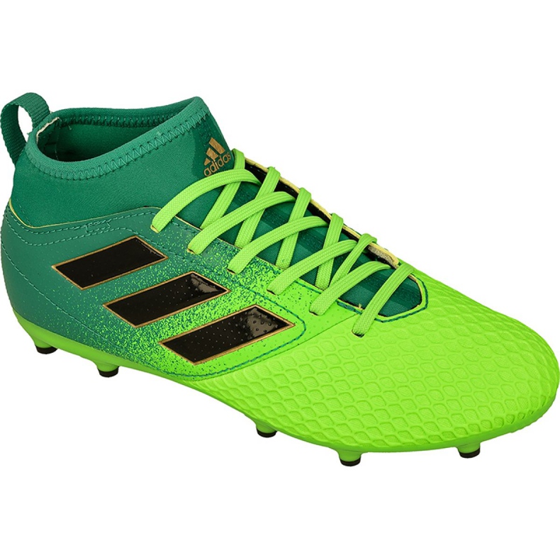 Chaussures de foot Adidas Ace 17.3 Fg Jr BB1027 vert vert