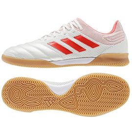 Chaussures indoor adidas Copa 19.3 IN Sala M D98065 blanc
