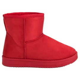 SDS Mucles rouges