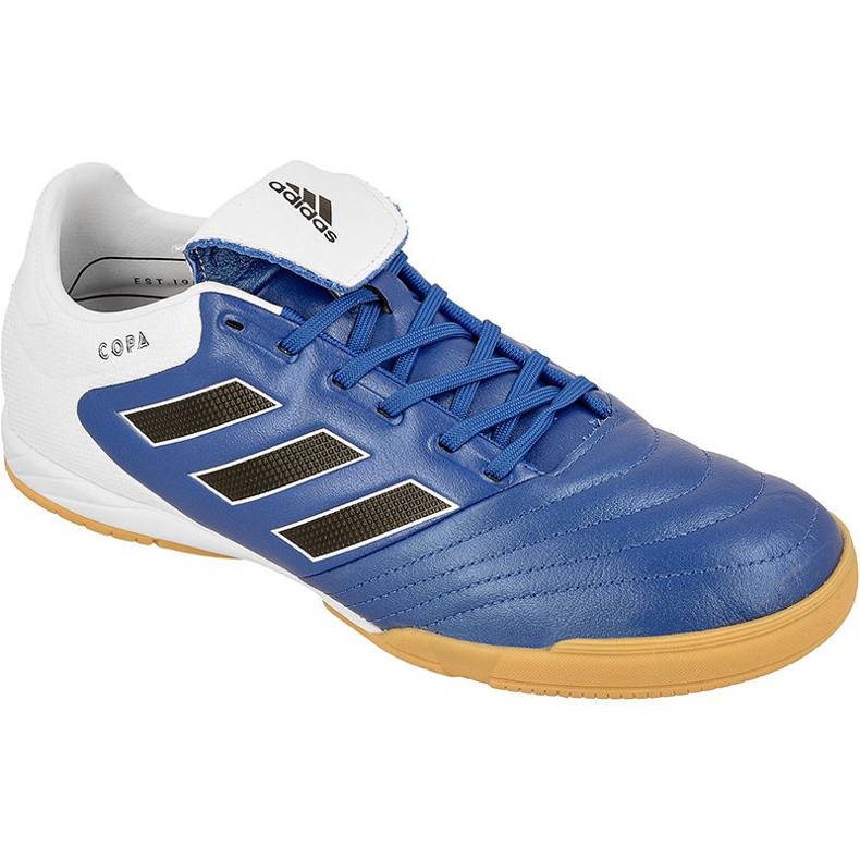 Chaussures d'intérieur adidas Copa 17.3 In M BB0853 Chaussures d'intérieur adidas Copa 17.3 In M BB0853