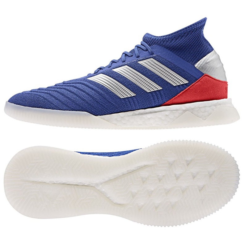 Chaussures indoor adidas Predator 19.1 Tr M BB9081 bleu bleu