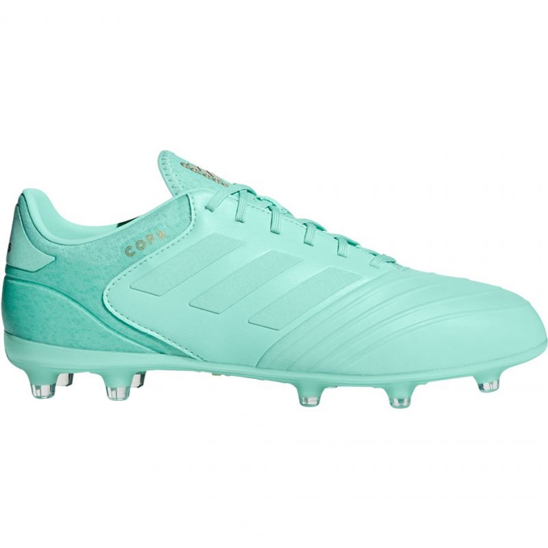Chaussures de football Adidas Copa 18.2 FG M DB2446 bleu