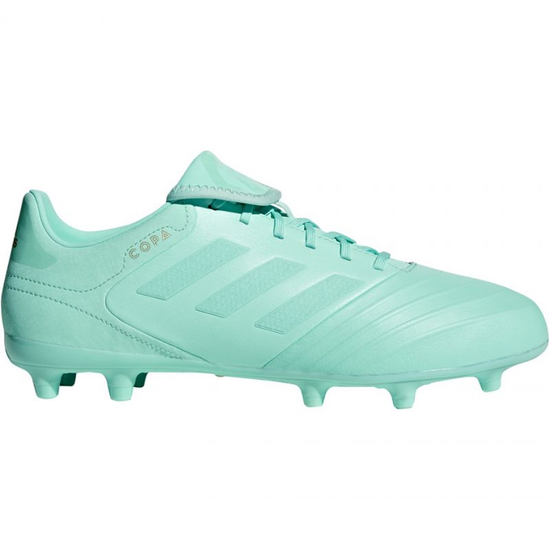 Chaussures de foot Adidas Copa 18.3 Fg M DB2462 bleu bleu
