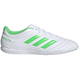 Chaussures d'intérieur adidas Copa 19.4 In M D98075 blanc blanc