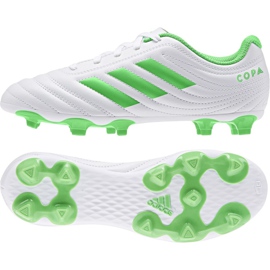 Chaussures de football Adidas Copa 19.4 Fg Jr D98089 multicolore blanc