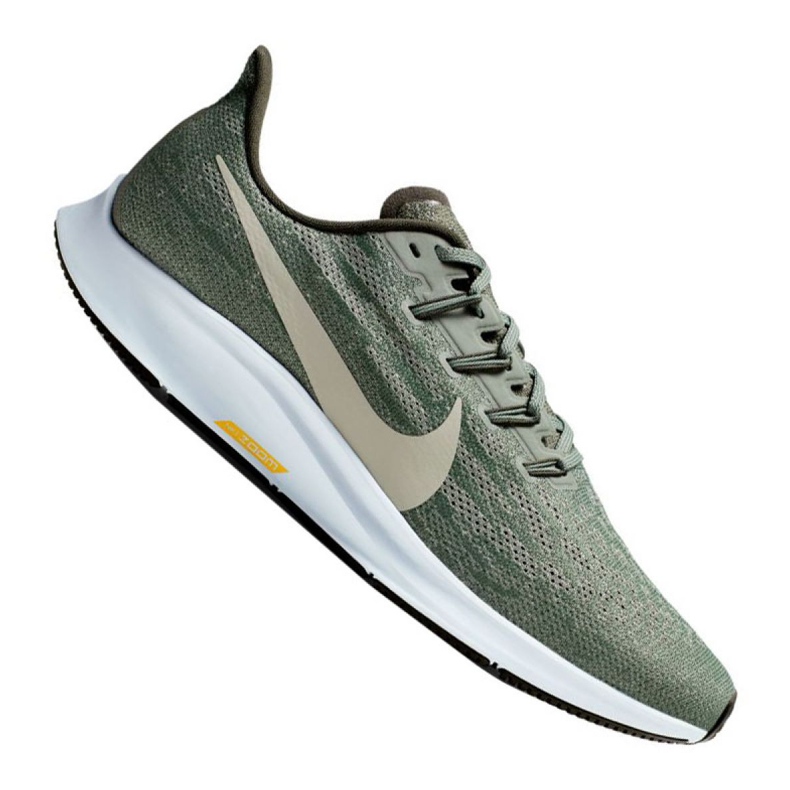 Chaussure Nike Air Zoom Pegasus M AQ2203-300 gris