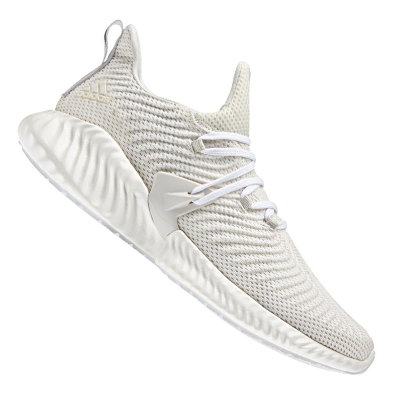 Chaussures de course adidas Alphabounce Instinct M BD7111 blanche