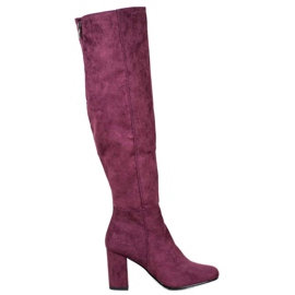 Goodin Bottes en daim violet