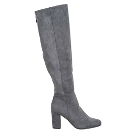 Goodin Bottes en daim grises