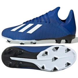 Chaussures de foot Adidas X 19.3 Fg Jr EG7152 bleu bleu