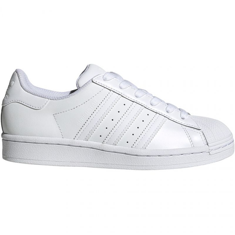 Adidas Superstar J blanc chaussures pour enfants EF5399 blanche