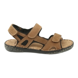 Sandales homme American Club velcro CY15 / 20 brun