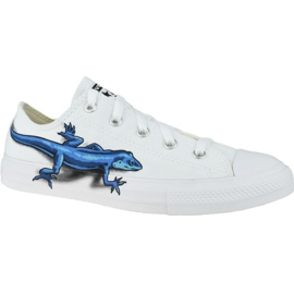 Legend Converse Lézards Chuck Taylor All Star Low Enfant 667532C blanche