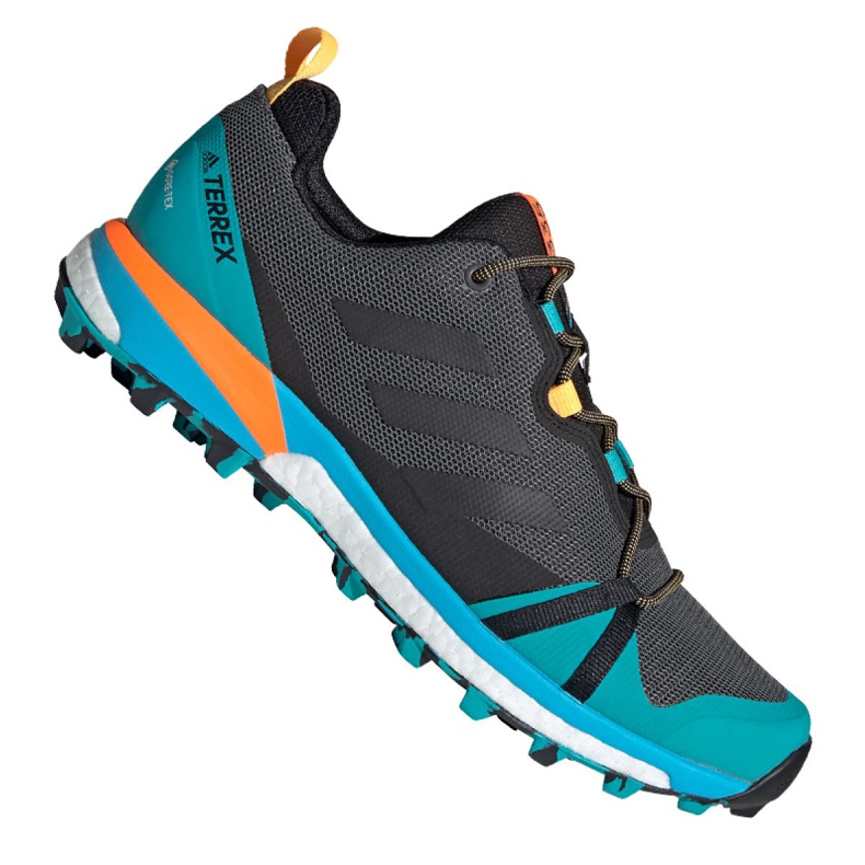 Chaussures Adidas Terrex Skychaser Lt Gtx M FX0148 multicolore bleu