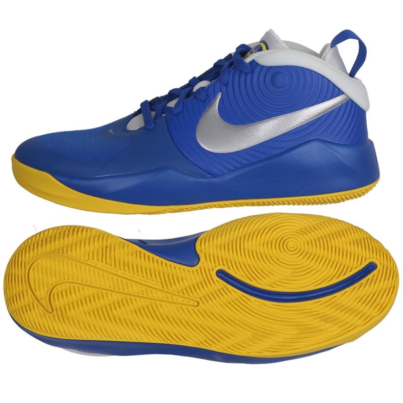 Chaussure de basket-ball Nike Team Hustle D 9 Jr AQ4224-404 multicolore bleu
