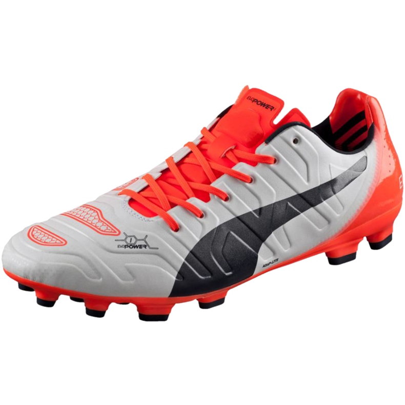 Chaussures de foot Puma Evo Power 1.2 Ag 103213 05 gris