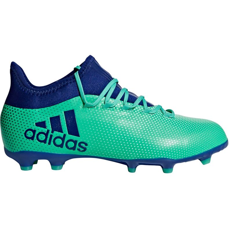 Chaussures de foot Adidas X 17.1 Fg Jr CP8980 multicolore bleu